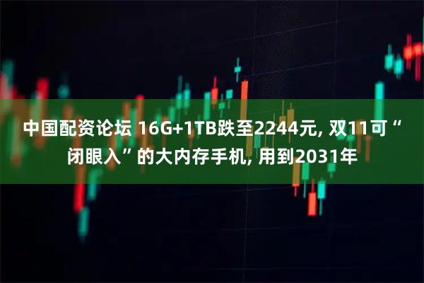 中国配资论坛 16G+1TB跌至2244元, 双11可“闭眼入”的大内存手机, 用到2031年