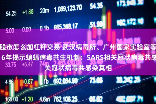 股市怎么加杠杆交易 武汉病毒所、广州国家实验室等团队 | 16年揭示蝙蝠病毒共生机制：SARS相关冠状病毒共感染真相