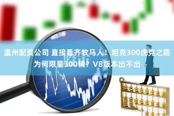 温州配资公司 直接看齐牧马人！坦克300虎克之路为何限量300辆？V8版本出不出